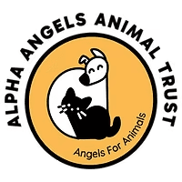 Angels for Animals
